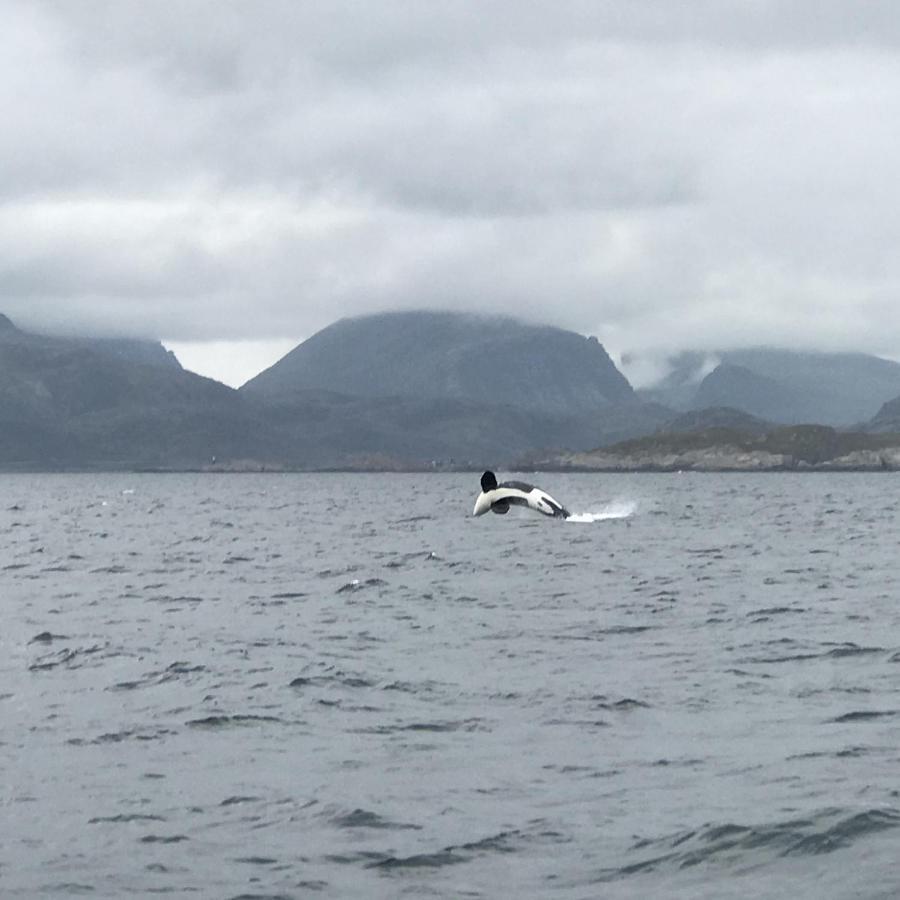 Fishermans Rorbu 3 - Lofoten 拉姆贝格 外观 照片